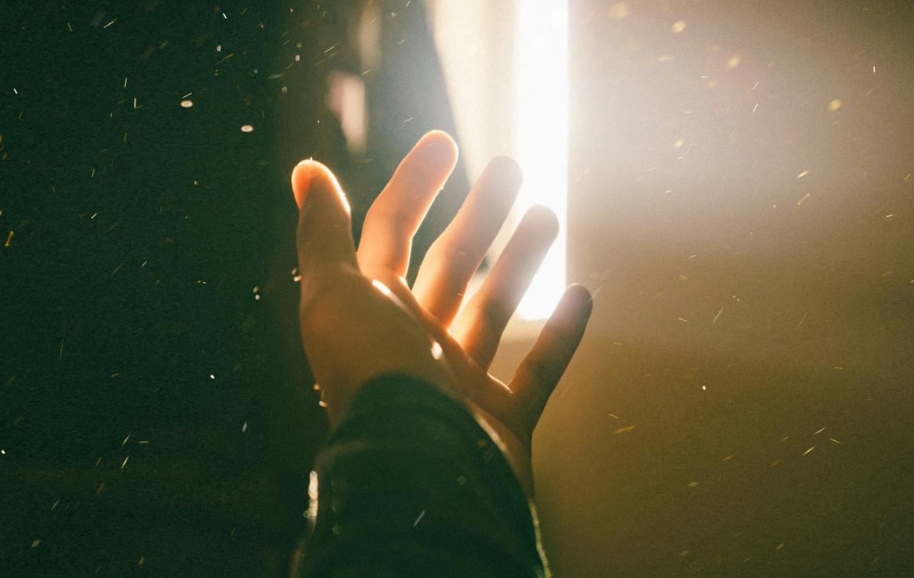 A open hand is held out and up towards a strong source of light