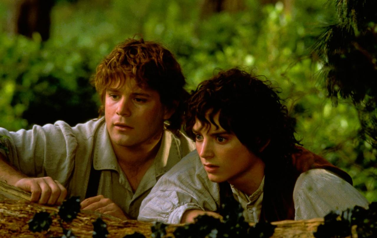 Two hobbits gaze at something.