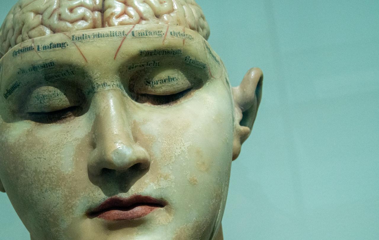 A phrenology head is shown with its eyes closed.