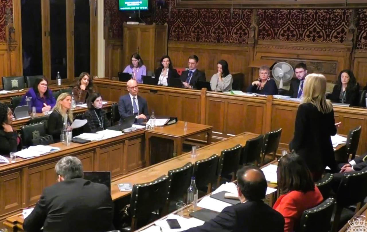 A parliamentary committee meets, sitting at wooden raised desks in a wood panelled room.