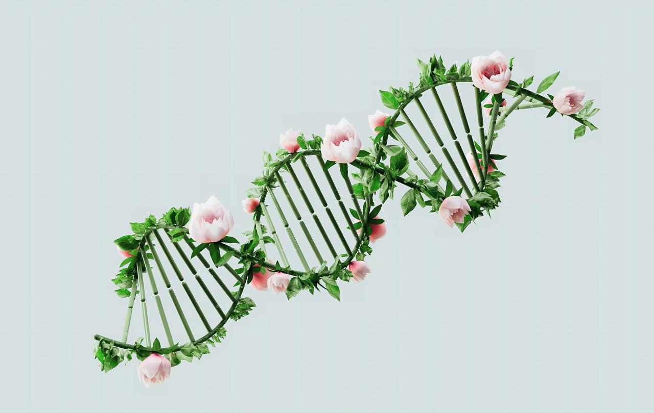 An artistic visualisation of a DNA strand growing flowers from it.