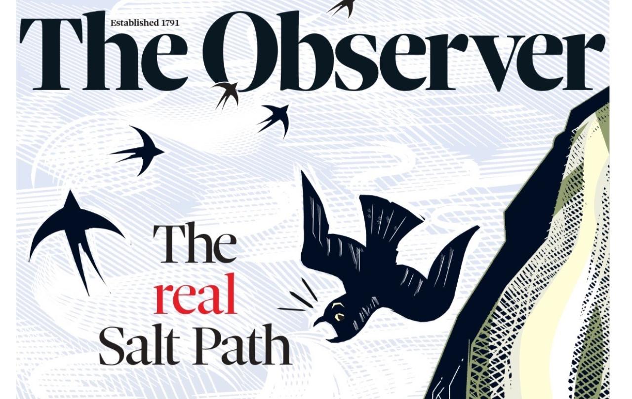 A newspaper front page shows its title and a falling sea bird