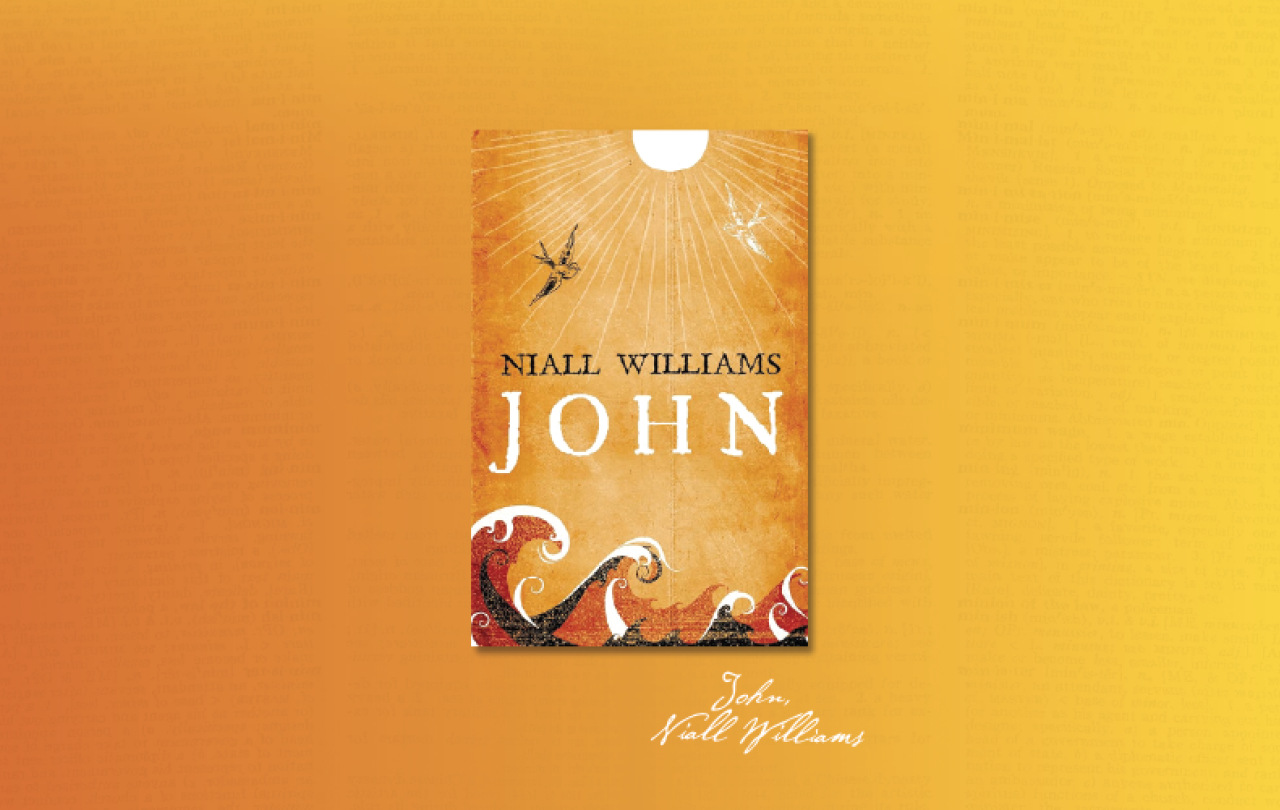 Niall Williams', John as picked by Graham Tomlin