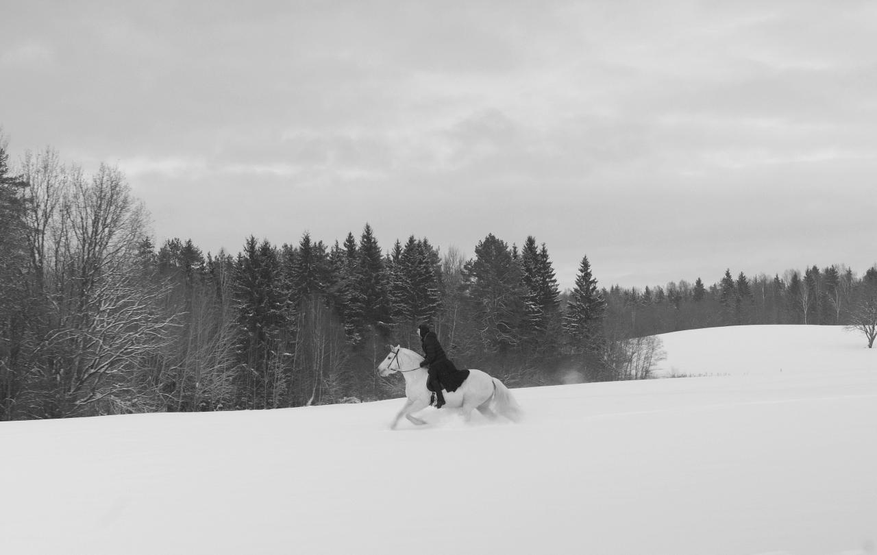 A nun on a white horse, gallops across a snowy field, in black and white