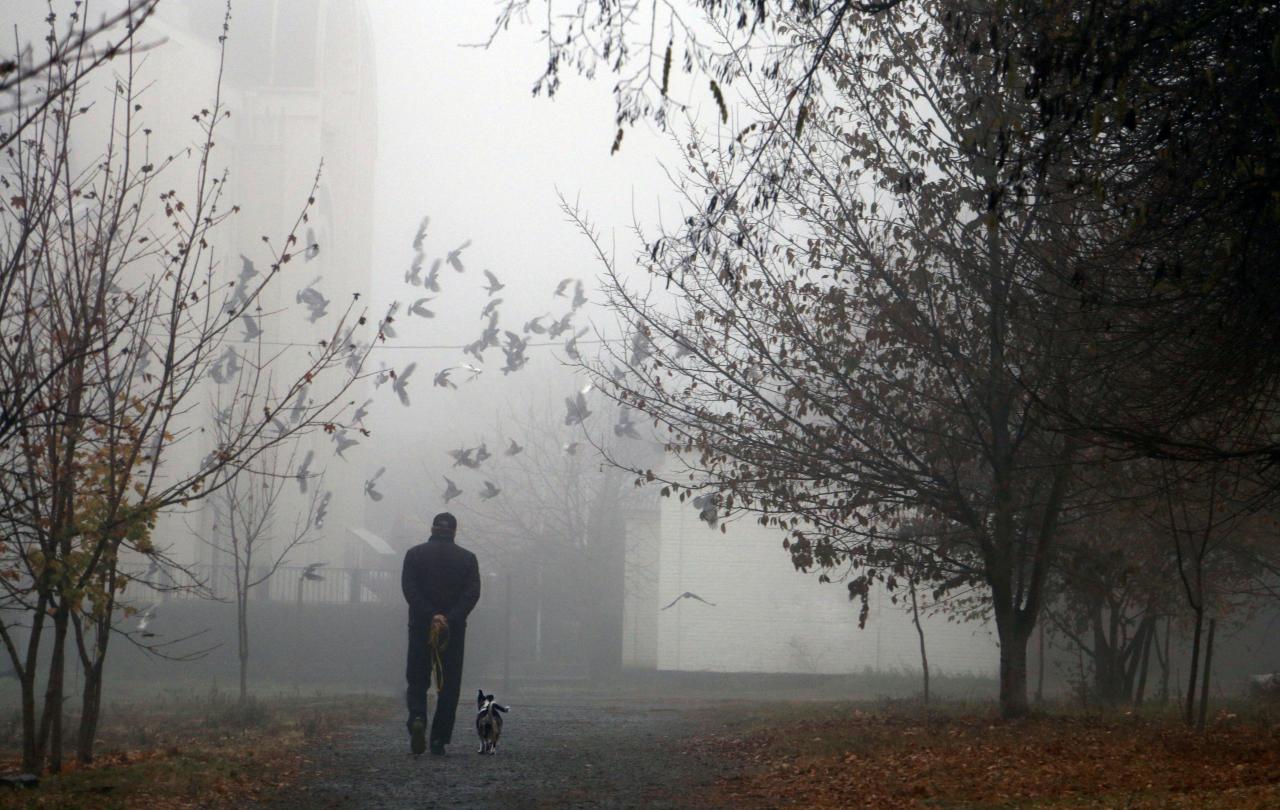 A man walks a dog along a misty city park path.