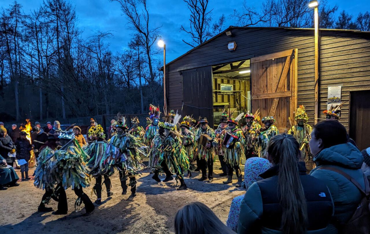 Wassailers emerge from a shed beside a wood