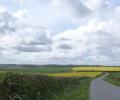 A country lane runs down a gentle hill between green and yellow fields under a cloud dappled sky.