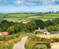 A Devon lane lined by hedges.