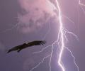 An eagle wheels against a purple stormy sky cut by lightening.