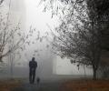 A man walks a dog along a misty city park path.