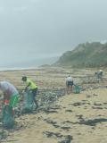 On a misty beach, people comb the tide line to remove rubbish.
