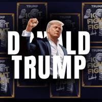 A montage shows Trump with a raised fist against other images of him and the phrase 'fight fight fight'.