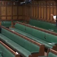 A backbench MP stands in an almost empty chamber and speaks