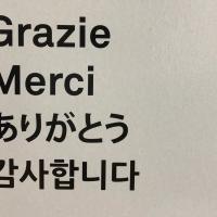 A check list shows 'thank you' in different languages.