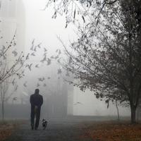 A man walks a dog along a misty city park path.
